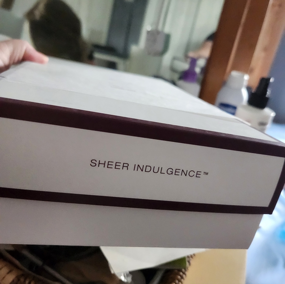 Raquel Welch IN CHARGE Shaded Iced Pumpkin Spice  RL29/33SS NWT BOX LARGE - Picture 9 of 10